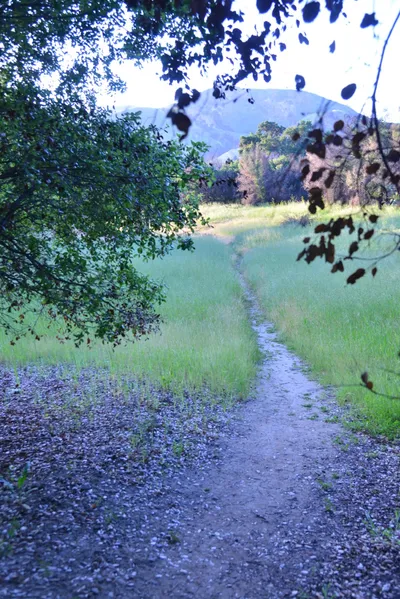 DSC_6210 (Large).JPG